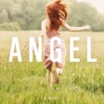 Angel Book Cover
