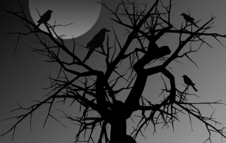 moonlit tree