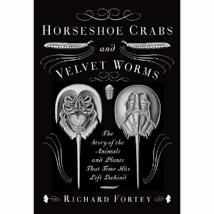 Horseshoe Crabs and Velvet Worms