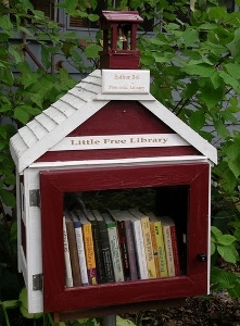 Little Free Library Adventure Series
