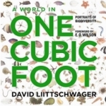World in One Cubic Foot, A