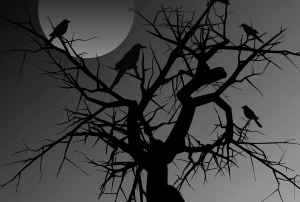bird in tree with full moon