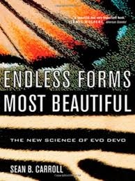 endless forms most beautiful cover (194x259)