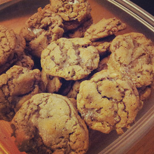 Hot chocolate cookies