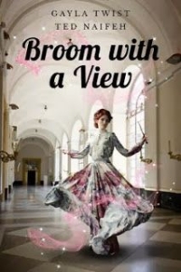 Broom With a View Cover