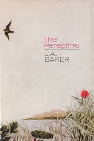 The Peregrine by J.A. Baker