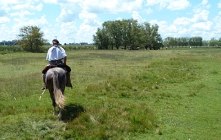 Horseback riding on the pampas