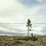Oldest Living Things in the World, The
