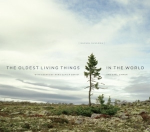 Oldest Living Things in the World, The