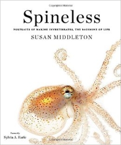 Spineless cover (260x311)