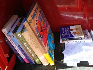 Inside of Little Free Library