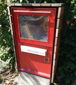 Little Free Library in newsstand box