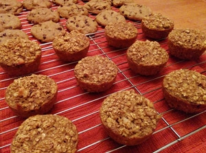 pumpkin oatmeal muffins