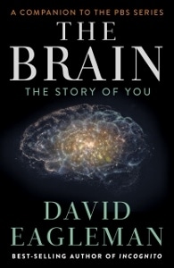 The brain cover (195x300)