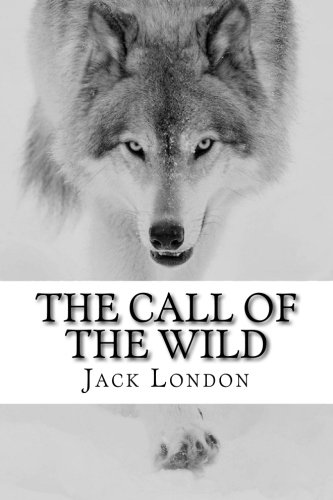 call of the wild book review questions