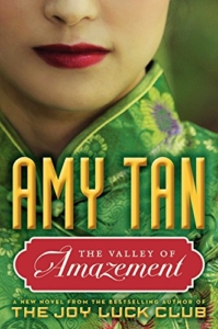 Valley Of Amazement Book Cover