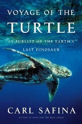 Voyage of the Turtle