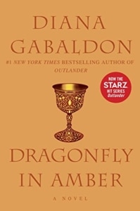 dragonfly in amber cover