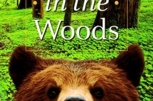 A Walk in the Woods book cover