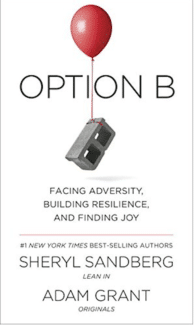 Option B book cover
