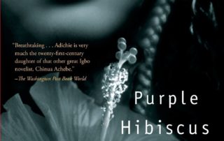 Purple Hibiscus cover