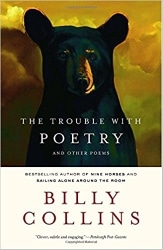Trouble with poetry cover