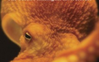 Octopus: The Ocean’s Intelligent Invertebrate cover