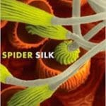Spider Silk book cover