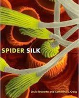 Spider Silk book cover