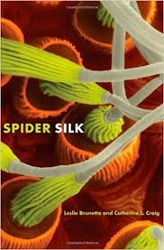 Spider Silk book cover