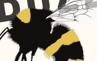Buzz book cover