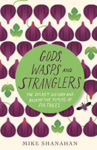 Gods, Wasps and Strangers book cover