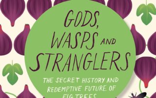 Gods, Wasps and Strangers book cover