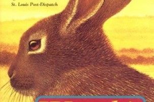 Watership Down cover image