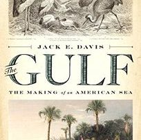 Gulf book cover