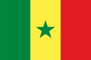 Flag of Senegal where Fisherman's Blues takes place