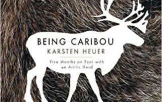 Being Caribou book cover