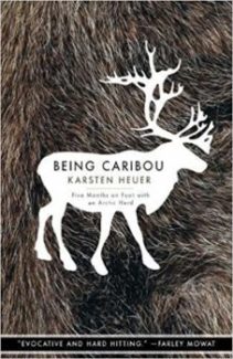 Being Caribou book cover