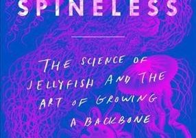 spineless by julie berwald book cover