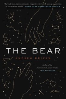 the bear book cover