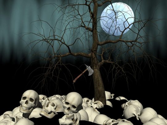 skulls and spooky tree