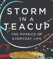 Storm in a Teacup cover