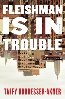 fleishman is in trouble book cover