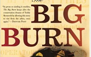 big burn book cover