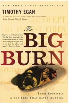 big burn book cover
