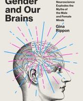 Gender and our Brains cover
