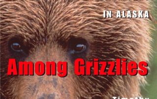 Among Grizzlies book cover