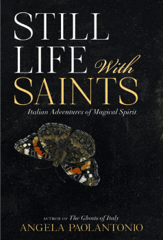 still life with saints book cover