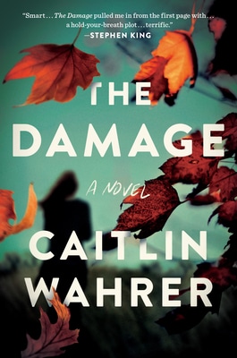 the damage book cover