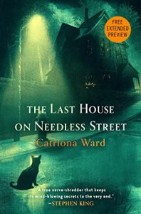 Last House on Needless Street, The